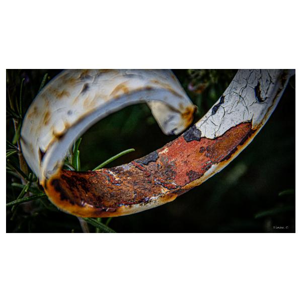 PHOTO84, CLUB, 84 , LUBERON